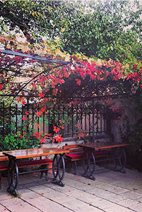 Couryard 1